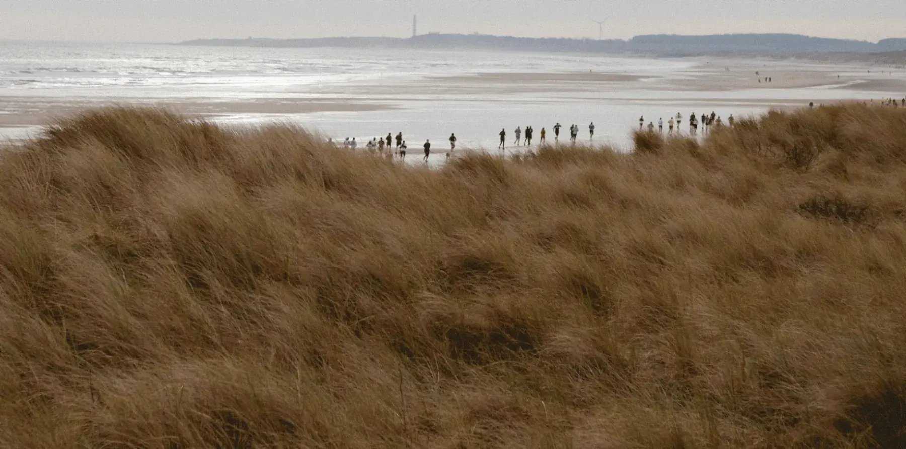 wild deer beach run